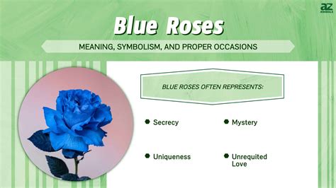 blue rose symbolism and meaning.